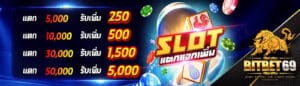 โปรแตก - bitbet69-th.org